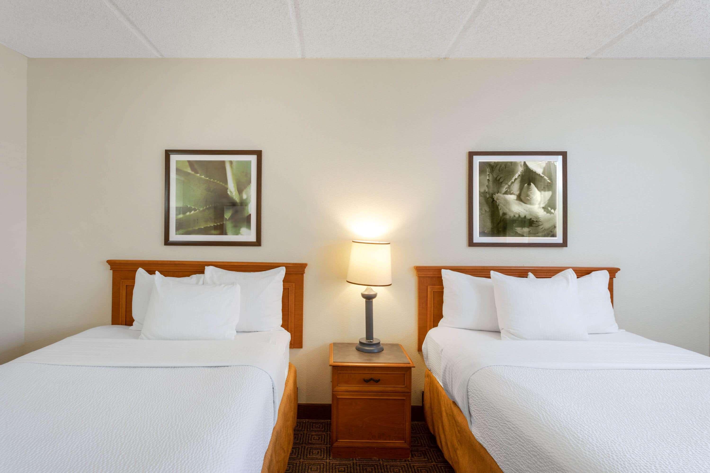 La Quinta Inn & Suites By Wyndham Jacksonville Mandarin Kültér fotó
